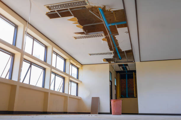 Best Local water damage restoration  in Listoga, CA