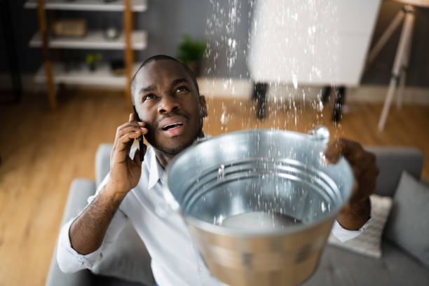 Best Water damage restoration specialists  in Listoga, CA