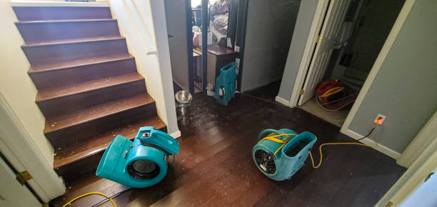 Best Local water damage restoration  in Listoga, CA