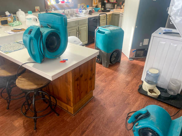 Best Professional water damage repair  in Listoga, CA