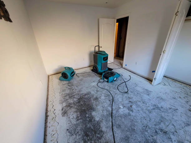 Best Ceiling water damage repair  in Listoga, CA