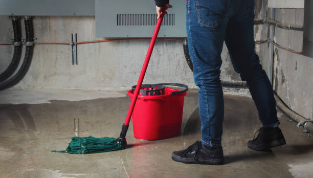 Best Water damage restoration near me  in Listoga, CA