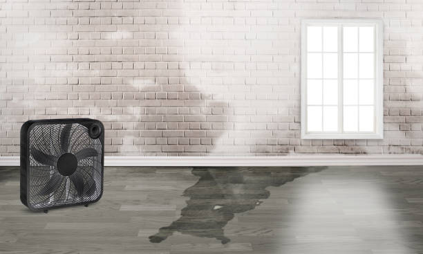 Best Fire Damage Restoration  in Listoga, CA