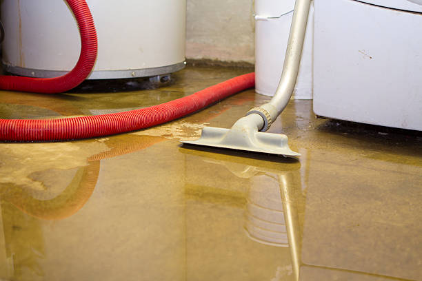 Best Flood restoration services  in Listoga, CA