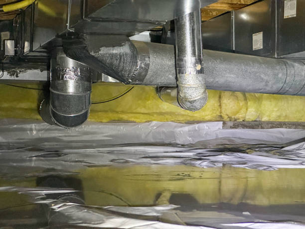 Best Flood damage cleanup  in Listoga, CA