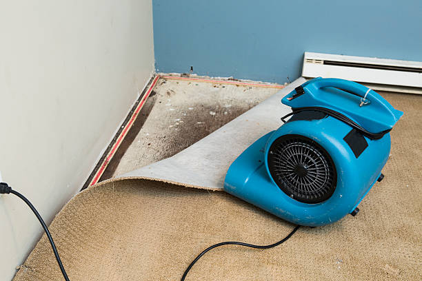 Best Ceiling water damage repair  in Listoga, CA